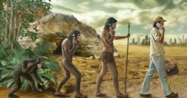 Humans are evolving like never before... here's what it looks like