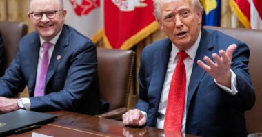 Humiliating moment Donald Trump slaps down stunned Australian ambassador: 'I don't like you... I probably never will'