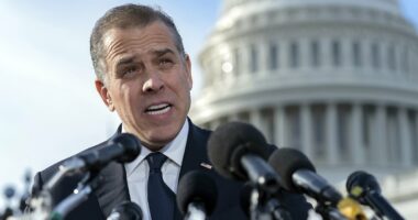 Hunter Biden compared his legal plight to that of Sandy Hook families