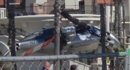 Huntington Beach Helicopter: 5 injured after chopper crashes into palm trees in front of Hyatt Regency Hotel
