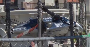 Huntington Beach Helicopter: 5 injured after chopper crashes into palm trees in front of Hyatt Regency Hotel