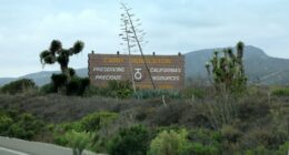 I-5 freeway to temporarily shut down for live fire exercise at Camp Pendleton