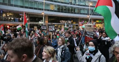 'I don't give a f*** about the Jewish community right now' - protestor