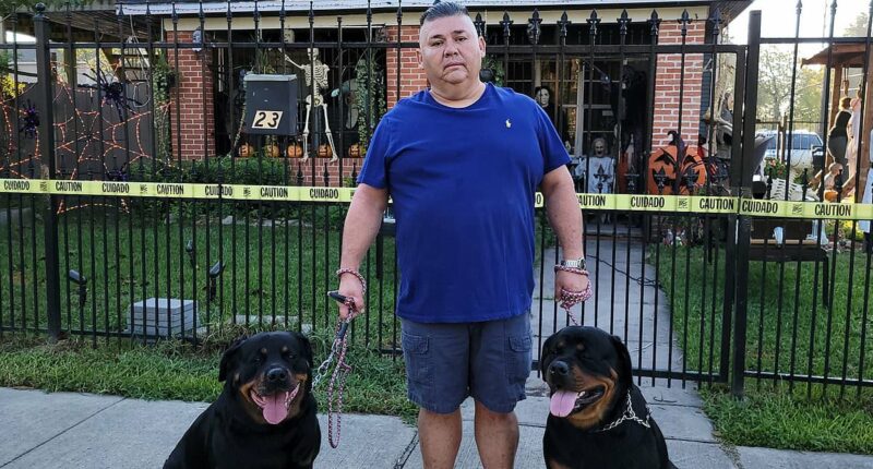 I hung effigies of Trump and ICE agents in my yard for Halloween