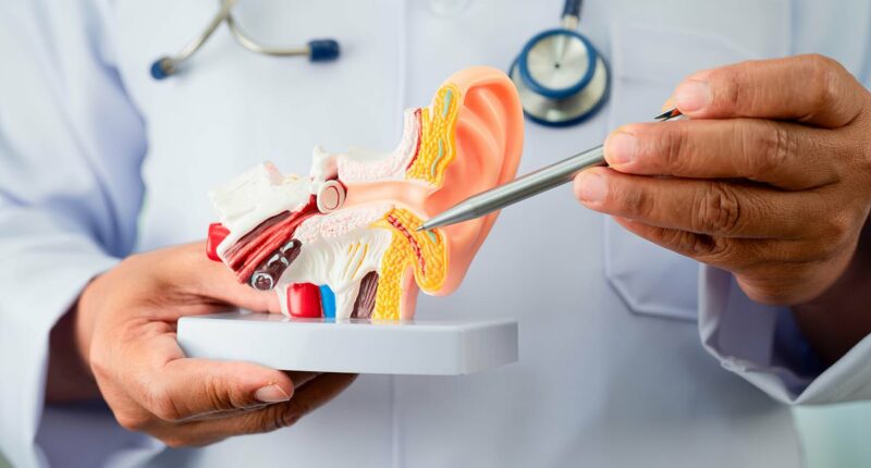 I was a tinnitus doctor. Then the ringing started in my own ears