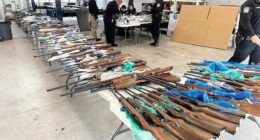 ICE, CBP seize 400 firearms hidden in fake trailer walls at southern border crossing