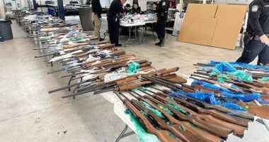 ICE, CBP seize 400 firearms hidden in fake trailer walls at southern border crossing