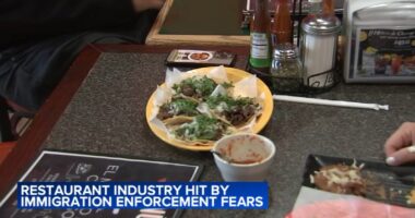 ICE Chicago news: Fears of ICE agents and raids impacting restaurants like El Mexico De Chicago in Belmont Cragin