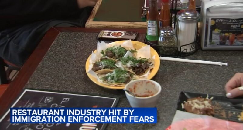 ICE Chicago news: Fears of ICE agents and raids impacting restaurants like El Mexico De Chicago in Belmont Cragin