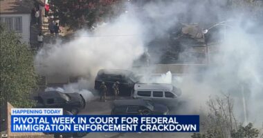 ICE Chicago news: Federal judge to question ICE, CBP on federal agents' use of force, tear gas at hearing Monday