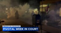 ICE Chicago news: Immigration Enforcement, Border Patrol officials to testify on federal agents' use of force, tear gas Monday