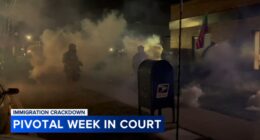 ICE Chicago news: Immigration Enforcement, Border Patrol officials to testify on federal agents' use of force, tear gas Monday