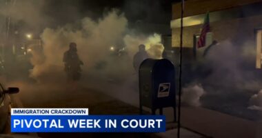 ICE Chicago news: Immigration Enforcement, Border Patrol officials to testify on federal agents' use of force, tear gas Monday