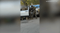 ICE activity in Chicago today: Agents detain man near Superior and Paulina in West Town; Laugh Factory says manager detained