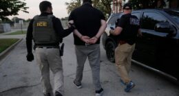 U.S. Immigration and Customs Enforcement agents make an arrest during an early morning operation in Park Ridge, Ill., Friday, Sept. 19, 2025. (AP Photo/Erin Hooley)