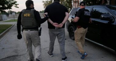 U.S. Immigration and Customs Enforcement agents make an arrest during an early morning operation in Park Ridge, Ill., Friday, Sept. 19, 2025. (AP Photo/Erin Hooley)