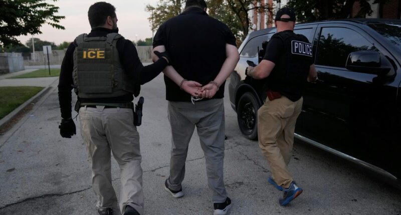 U.S. Immigration and Customs Enforcement agents make an arrest during an early morning operation in Park Ridge, Ill., Friday, Sept. 19, 2025. (AP Photo/Erin Hooley)