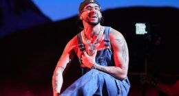 ICE agents to descend on Super Bowl after Bad Bunny performance