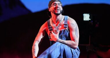 ICE agents to descend on Super Bowl after Bad Bunny performance