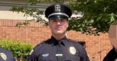 ICE arrests Chicago police officer accused of being illegal migrant
