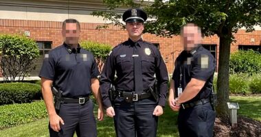 ICE arrests illegal alien sworn in as suburban Chicago police officer: 'Pritzker's Illinois'