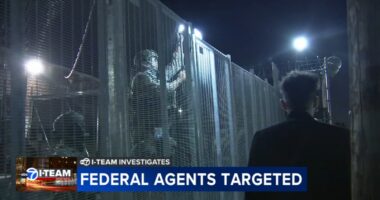 ICE in Chicago: Anarchist website targeting ICE agents, facilities, law enforcement security bulletins say
