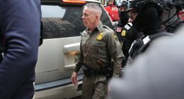 ICE in Chicago news: Judge orders CBP Chief Greg Bovino to meet with her every day on immigration operations in Chicago