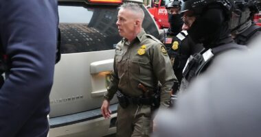 ICE in Chicago news: Judge orders CBP Chief Greg Bovino to meet with her every day on immigration operations in Chicago