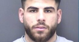 Illegal immigrants jailed for machete attack on high street shopowner