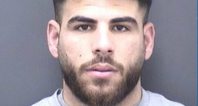 Illegal immigrants jailed for machete attack on high street shopowner