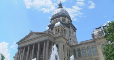 Illinois lawmakers race to get bills passed before veto session ends