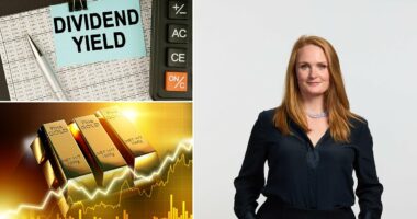 I'm a fund manager: Why this stock could be the next Nvidia - and where I invest my children's Junior Isas...