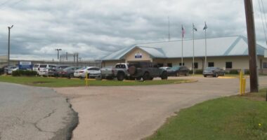 Immigrant rights group calls for removing pregnant women from detention