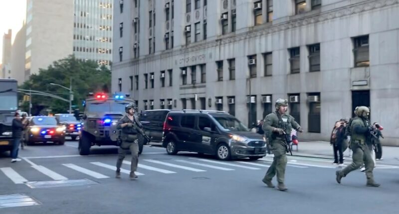 Immigration agents conducting sweep on NYC's famed Canal Street confronted by protesters