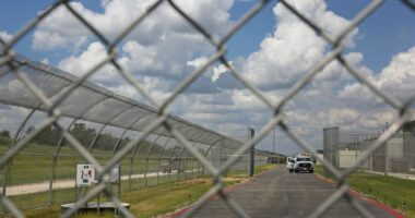 Immigration detention center shooting suspects face terror charges