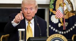 Incestuous Trump world affair that sparked a 'dangerous' choice at the heart of government