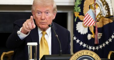 Incestuous Trump world affair that sparked a 'dangerous' choice at the heart of government