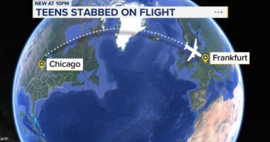 Indian national Praneeth Kumar Usiripalli charged in alleged plane stabbing on Lufthansa flight from Chicago to Germany: DOJ