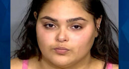 Indiana Woman Shoots Driver Dead After He Honks at Her to Move On at Traffic Light