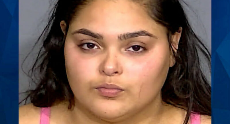 Indiana Woman Shoots Driver Dead After He Honks at Her to Move On at Traffic Light