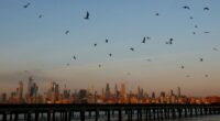 Infrastructure funds for NYC projects halted over DEI