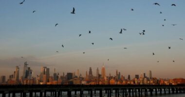 Infrastructure funds for NYC projects halted over DEI