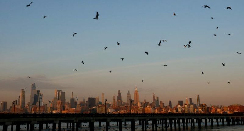 Infrastructure funds for NYC projects halted over DEI