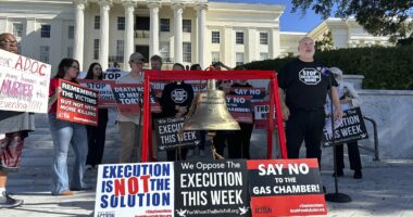 Inmate yells 'I didn't kill anybody' in last words before EXECUTION