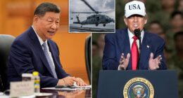Inside Trump's high-stakes China gamble: President is haunted by Putin humiliation as he dices with Xi... and Beijing's dealer stacks the deck