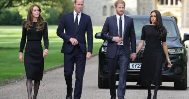 Inside the Windsor walkabout where Kate Middleton 'went into self preservation mode' after Prince Harry and Meghan Markle stepped down as working Royals