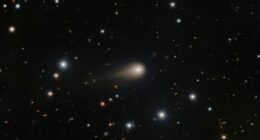 Interstellar comet swinging past Mars as a fleet of spacecraft looks on