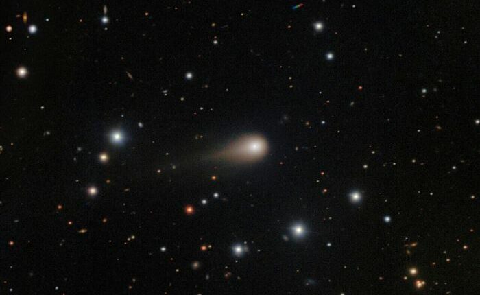 Interstellar comet swinging past Mars as a fleet of spacecraft looks on
