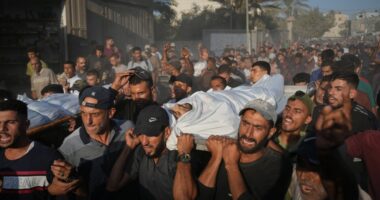 Israel resumes ceasefire in Gaza and says aid deliveries will restart Monday