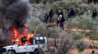 Israeli Settler Violence Across the West Bank